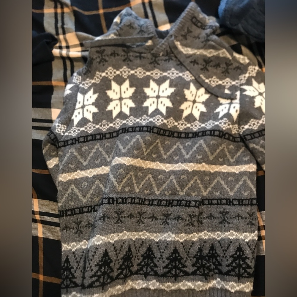 American Eagle Sweater Hoodie